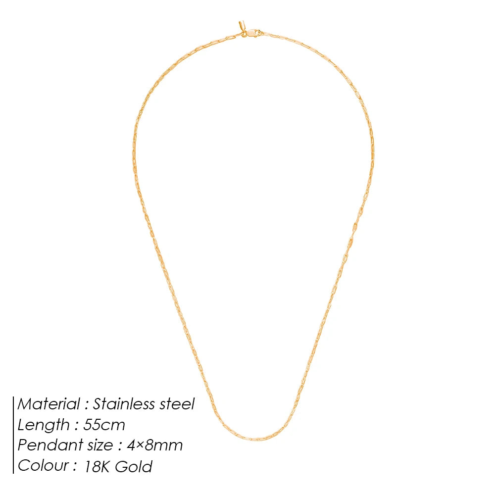 ELANDIS Stainless Steel Men's Necklace 2MM Paperclip Chain Gold-plated Punk Jewelry Christmas, Birthday, Gift Direct