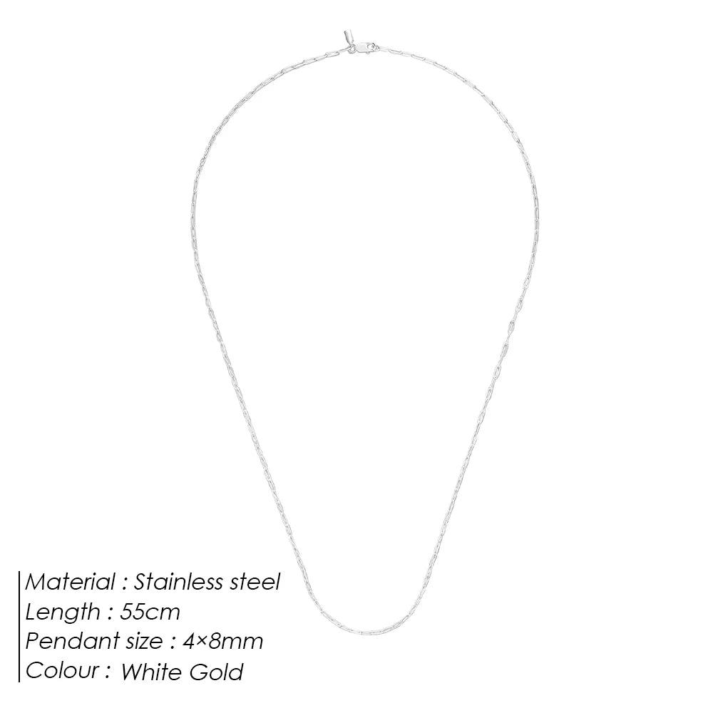 ELANDIS Stainless Steel Men's Necklace 2MM Paperclip Chain Gold-plated Punk Jewelry Christmas, Birthday, Gift Direct
